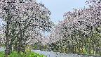 takano2-20250510080030.jpg