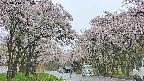 takano2-20250510081030.jpg