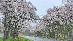takano2-20250510082030.jpg