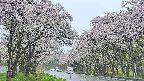 takano2-20250510083030.jpg