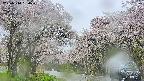 takano2-20250510084030.jpg