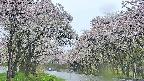 takano2-20250510090031.jpg