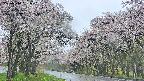 takano2-20250510091031.jpg