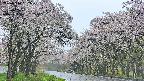 takano2-20250510092030.jpg