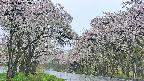 takano2-20250510093030.jpg