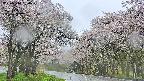 takano2-20250510094030.jpg