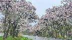 takano2-20250510095031.jpg