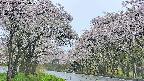 takano2-20250510100030.jpg