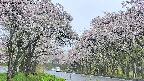 takano2-20250510101030.jpg