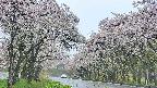 takano2-20250510102030.jpg