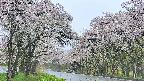 takano2-20250510104030.jpg