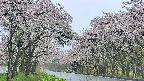 takano2-20250510105031.jpg