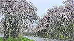 takano2-20250510110031.jpg