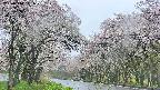 takano2-20250510111030.jpg