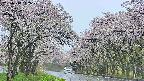 takano2-20250510112028.jpg