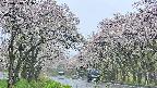 takano2-20250510113030.jpg