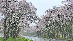 takano2-20250510114030.jpg