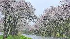 takano2-20250510120031.jpg