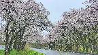 takano2-20250510121031.jpg