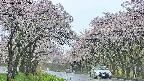takano2-20250510123031.jpg
