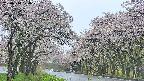 takano2-20250510124029.jpg