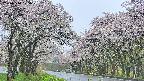 takano2-20250510125031.jpg
