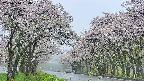 takano2-20250510130030.jpg
