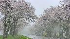takano2-20250510131031.jpg