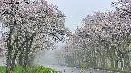 takano2-20250510132031.jpg