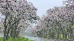 takano2-20250510133031.jpg