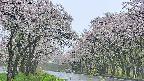 takano2-20250510134031.jpg