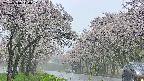 takano2-20250510140031.jpg