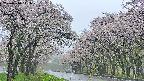 takano2-20250510141031.jpg
