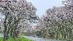 takano2-20250510143030.jpg