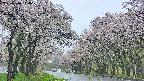 takano2-20250510144031.jpg