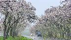 takano2-20250510145030.jpg