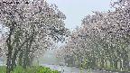 takano2-20250510150032.jpg