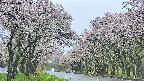 takano2-20250510151031.jpg