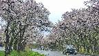 takano2-20250510152030.jpg