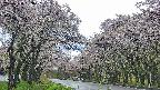 takano2-20250510153031.jpg