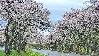 takano2-20250510154030.jpg