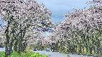 takano2-20250510155029.jpg