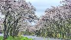 takano2-20250510160032.jpg