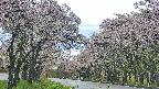 takano2-20250510161029.jpg