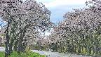 takano2-20250510162031.jpg