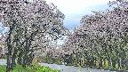 takano2-20250510163029.jpg