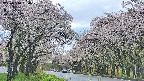 takano2-20250510164029.jpg
