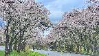 takano2-20250510165030.jpg