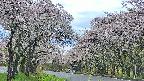 takano2-20250510171030.jpg