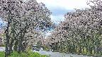 takano2-20250510172030.jpg